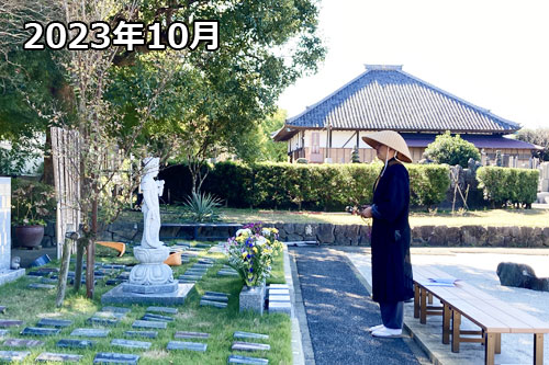 2023年10月に千葉県・樹木葬の埋葬実施