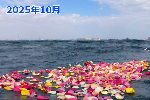 2025年10月に東京湾で散骨
