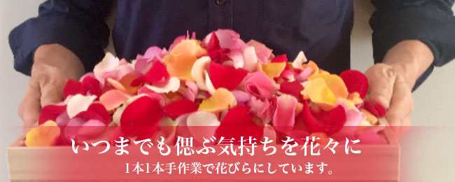 たくさんのお花で散骨