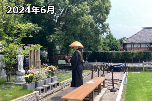 2024年6月に千葉県・樹木葬の埋葬実施