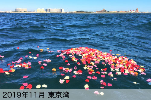 2019年11月に散骨代行を実施