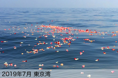 2019年7月に散骨代行を実施