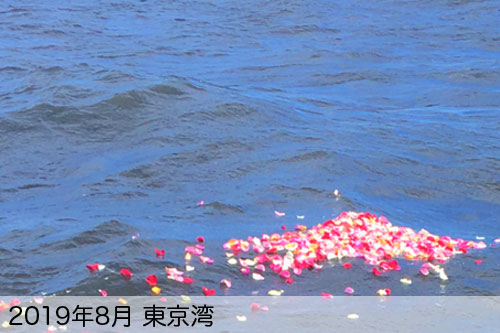 2019年8月に散骨代行を実施