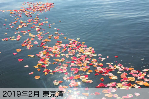 2月に散骨実施