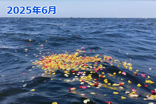 2025年6月に東京湾で散骨